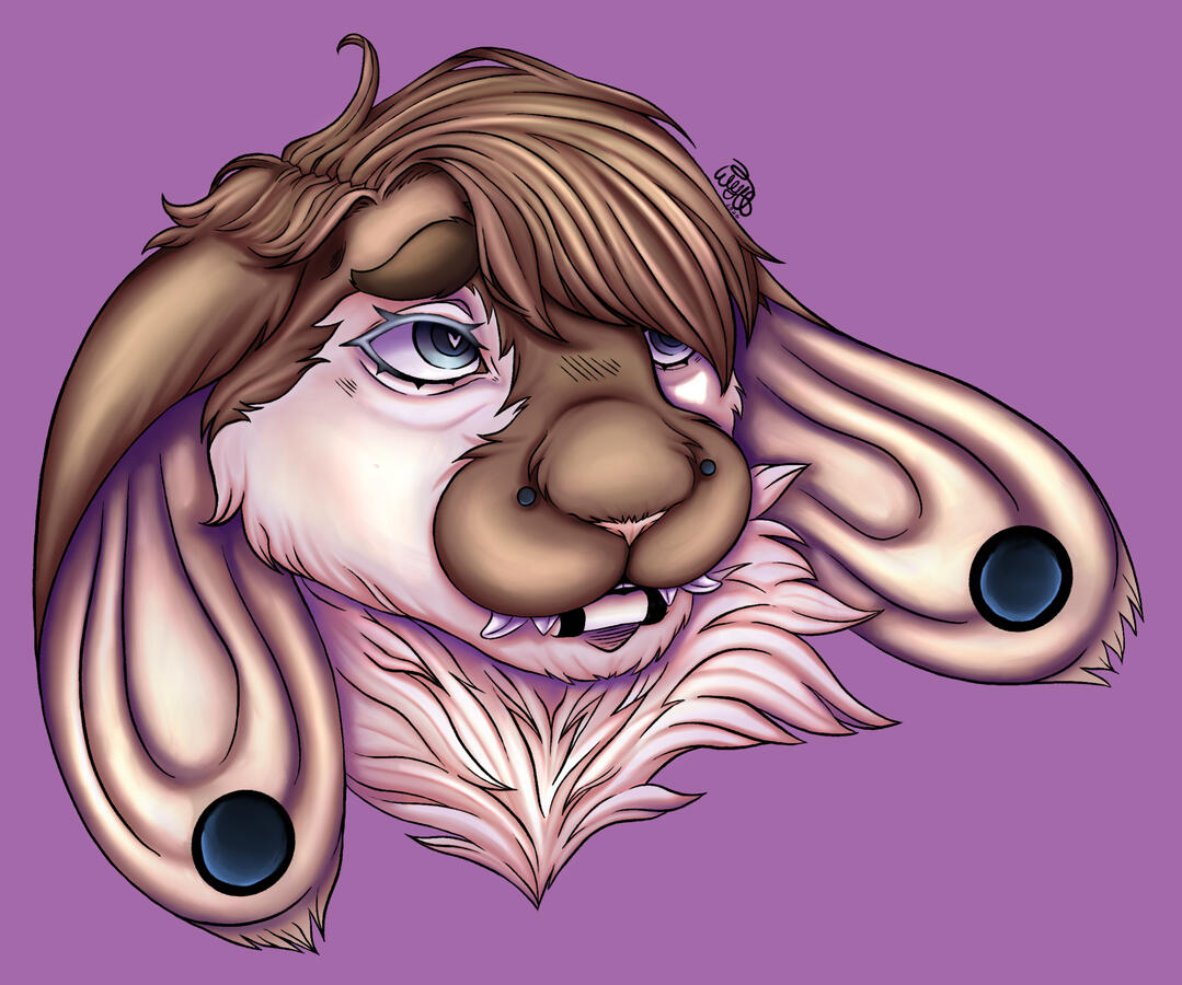 Comm Comm