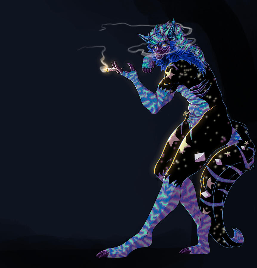 Borealis Borealis